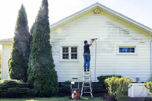 Best House Pressure Washing  in Washburn, WI